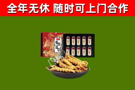 华龙区烟酒回收冬虫夏草礼盒.jpg